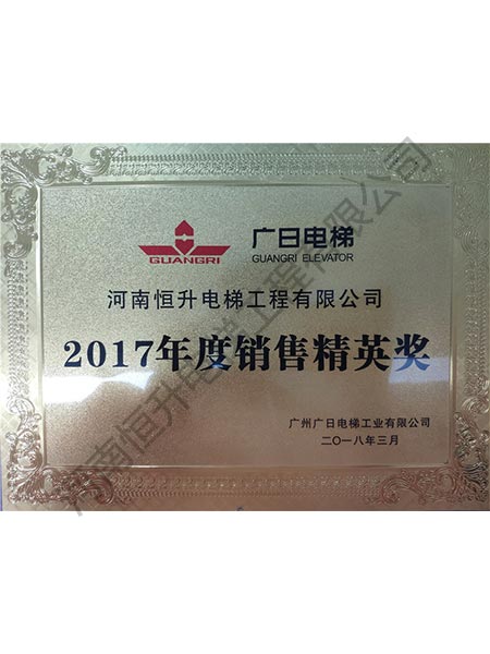 彩神ll电梯销售精英奖